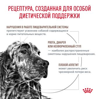 Royal Canin GASTROINTESTINAL (ГАСТРОИНТЕСТИНАЛ) диетический для взрослых собак при расстройствах пищеварения