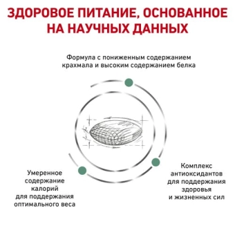 Royal Canin Diabetic DS 46 Feline корм для взрослых кошек при сахарном диабете, сухой диетический