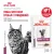 Паучи Royal Canin Renal для кошек для поддержания функции почек с говядиной в соусе Паучи Royal Canin Renal для кошек для поддержания функции почек с говядиной в соусе