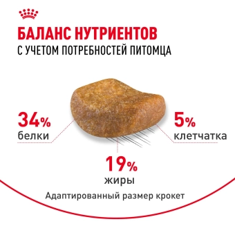 Корм сухой сбалансированный Royal Canin British Shorthair Adult для взрослых британских короткошерстных кошек