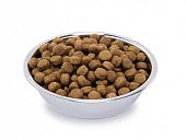 Сухой Корм Nutro Grain Free Dog Medium Breed Lamb для собак средних пород с ягнёнком и экстрактом розмарина Сухой Корм Nutro Grain Free Dog Medium Breed Lamb для собак средних пород с ягнёнком и экстрактом розмарина