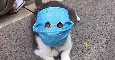 Важная информация!