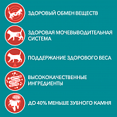 Сухой корм Purina ONE для стерилизованных кошек и кастрированных котов, с высоким содержанием говядины и пшеницей