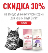 Скидка 15% на корма для кошек марки Royal Canin!