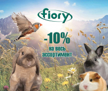 Скидка 10% на сено для грызунов марки Fiory!