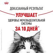 Паучи Royal Canin Urinary Care для взрослых кошек для поддержания здоровья МКБ системы мелкие кусочки в соусе