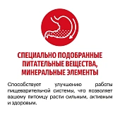 Сухой Корм Karmy Medium Junior для щенков средних пород с телятиной Сухой Корм Karmy Medium Junior для щенков средних пород с телятиной