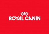 Скидка 15% на сухие корма для кошек и собак марки Royal Canin!