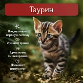 Банки BioMenu kitten для котят мясной паштет с говядиной 95% мясо Банки BioMenu kitten для котят мясной паштет с говядиной 95% мясо