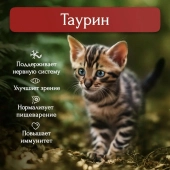 Банки BioMenu kitten для котят мясной паштет с говядиной 95% мясо