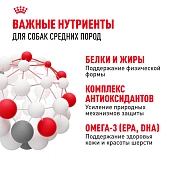 Сухой Корм для собак Royal Canin Medium Adult Корм сухой для взрослых собак средних размеров Сухой Корм для собак Royal Canin Medium Adult Корм сухой для взрослых собак средних размеров