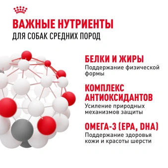 Корм для собак Royal Canin Medium Adult Корм сухой для взрослых собак средних размеров