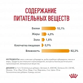 Royal Canin Hair & Skin Care корм консервированный для взрослых кошек в желе Royal Canin Hair & Skin Care корм консервированный для взрослых кошек в желе