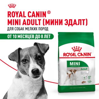 Корм для собак Royal Canin Mini Adult Корм сухой для взрослых собак мелких размеров от 10 месяцев