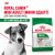 Корм для собак Royal Canin Mini Adult Корм сухой для взрослых собак мелких размеров от 10 месяцев