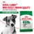 Корм для собак Royal Canin Mini Adult Корм сухой для взрослых собак мелких размеров от 10 месяцев