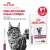 Паучи Royal Canin Renal для кошек для поддержания функции почек с курицей в соусе Паучи Royal Canin Renal для кошек для поддержания функции почек с курицей в соусе