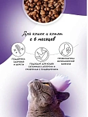 Сухой Корм Best Dinner Adult Sterilised Lamb & Wildberry для стерилизованных кошек с ягнёнком и ягодами Сухой Корм Best Dinner Adult Sterilised Lamb & Wildberry для стерилизованных кошек с ягнёнком и ягодами