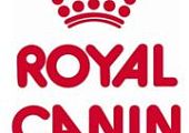 Распродажа сухих и влажных кормов для кошек и собак марки Royal Canin!