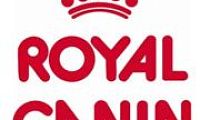 Распродажа сухих и влажных кормов для кошек и собак марки Royal Canin!