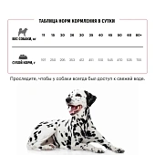 Сухой Корм Karmy Delicious Medium & Maxi для привередливых собак средних и крупных пород с телятиной Сухой Корм Karmy Delicious Medium & Maxi для привередливых собак средних и крупных пород с телятиной