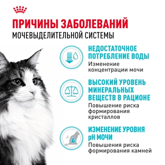 Корм для взрослых кошек Royal Canin Urinary Care Корм сухой для поддержания здоровья мочевыделительной системы