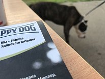 Дегустация в зоомагазине «Динозаврик» (Ул.Снежная, д.16к6)!