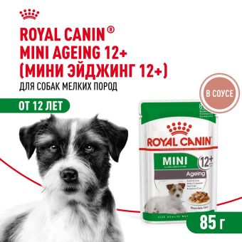 Паучи Royal Canin Mini Ageing 12+ для собак маленьких пород собак в возрасте сраше 12 лет