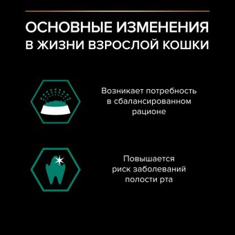 Влажный корм PRO PLAN® MAINTENANCE для взрослых кошек, кусочки с говядиной в соусе