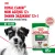 Паучи Royal Canin Mini Ageing 12+ для собак маленьких пород собак в возрасте сраше 12 лет Паучи Royal Canin Mini Ageing 12+ для собак маленьких пород собак в возрасте сраше 12 лет