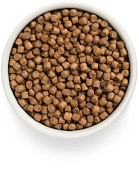 Сухой Корм Grandorf Fresh Dog Lamb Puppy All Breeds свежее мясо ягненка с бататом, для щенков беременных или кормящих собак Сухой Корм Grandorf Fresh Dog Lamb Puppy All Breeds свежее мясо ягненка с бататом, для щенков беременных или кормящих собак