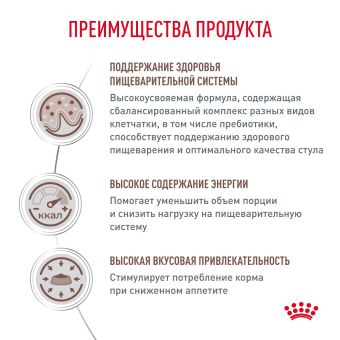 Royal Canin GASTROINTESTINAL (ГАСТРОИНТЕСТИНАЛ) диетический для взрослых кошек при расстройствах пищеварения