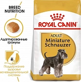 Royal Canin Miniature Schnauzer Adult корм сухой для взрослых собак породы Миниатюрный Шнауцер от 10 месяцев Royal Canin Miniature Schnauzer Adult корм сухой для взрослых собак породы Миниатюрный Шнауцер от 10 месяцев