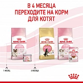 Консервы Royal Canin Babycat Instinctive (мусс) для котят с момента рождения до 4...