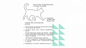Сухой Корм AJO Cat Sterile Weight Control для стерилизованных кошек контроль веса Сухой Корм AJO Cat Sterile Weight Control для стерилизованных кошек контроль веса