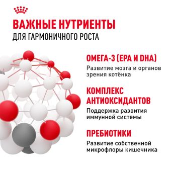 Royal Canin Kitten корм сухой сбалансированный для котят в период второй фазы роста до 12 месяцев