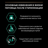 Влажный корм PRO PLAN® Sterilised MAINTENANCE для взрослых стерилизованных кошек, с лососем в соусе Влажный корм PRO PLAN® Sterilised MAINTENANCE для взрослых стерилизованных кошек, с лососем в соусе