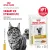 Паучи Royal Canin Urinary S/O для кошек при мочекаменной болезни Паучи Royal Canin Urinary S/O для кошек при мочекаменной болезни