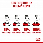 Royal Canin Mini Starter корм для щенков мелких размеров до 2-х месяцев, беременных и кормящих сук