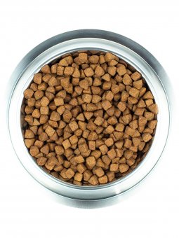 Корм Wellness Core для взрослых собак средних и крупных пород из индейки со сниженным содержанием жира