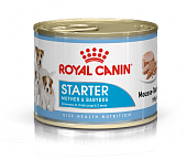 Консервы Royal Canin Starter Mousse для щенков до 2 месяцев и кормящих собак всех пород