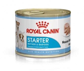 Консервы Royal Canin Starter Mousse для щенков до 2 месяцев и кормящих собак всех пород