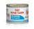 Консервы Royal Canin Starter Mousse для щенков до 2 месяцев и кормящих собак всех пород