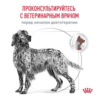 Royal Canin GASTROINTESTINAL (ГАСТРОИНТЕСТИНАЛ) диетический для взрослых собак при расстройствах пищеварения