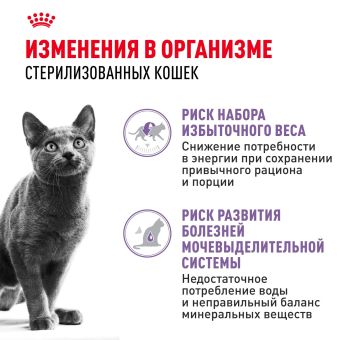 Корм для стерилизованных взрослых кошек Royal Canin Sterilised Корм консервированный , соус