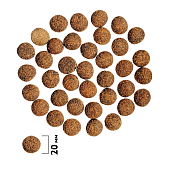 Сухой Корм Brit Premium Adult Large & Giant Dog для собак крупных и гигантских пород с...