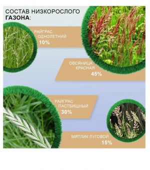 Медленнорастущий низкорослый газон Мираторг