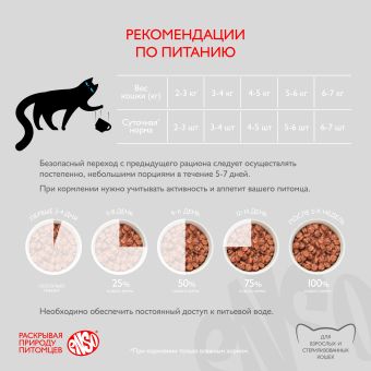 Паучи Enso Basic полнорационный корм для взрослых кошек кусочки в соусе с лососем