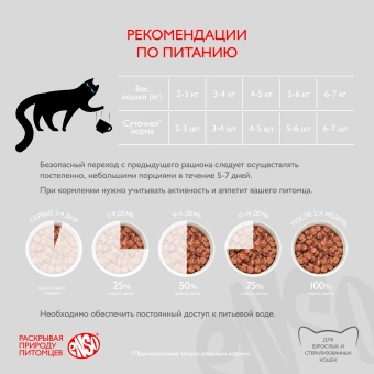 Паучи Enso Basic полнорационный корм для взрослых кошек кусочки в соусе с лососем