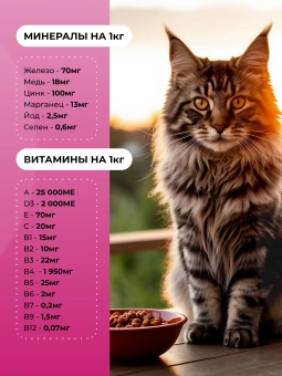 Полнорационный сухой корм Орико Cat для котят, птица